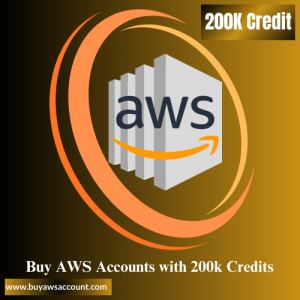 Buy AWS Accounts with 200k Credits
